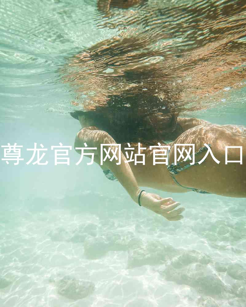 尊龙官方网站官网入口