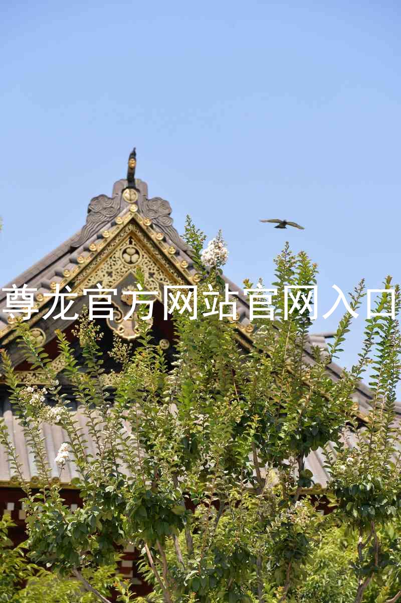 尊龙官方网站官网入口